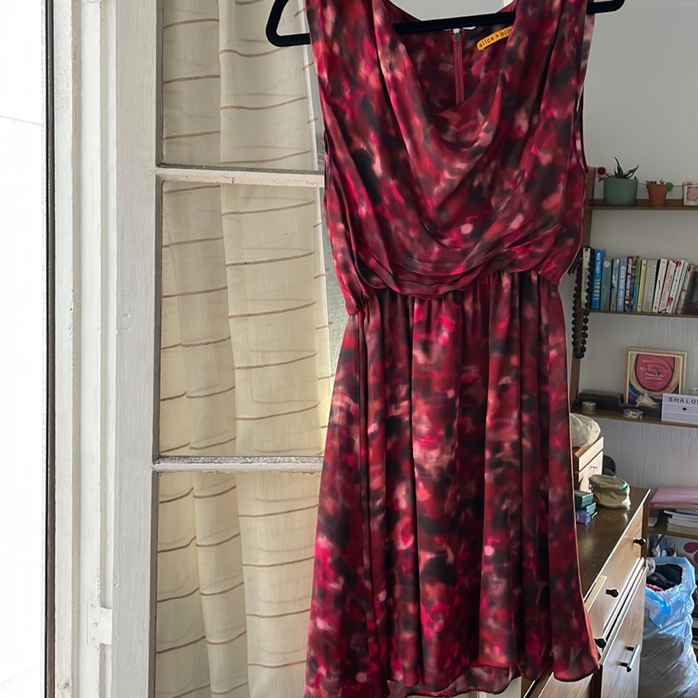 Alice and Olivia dress